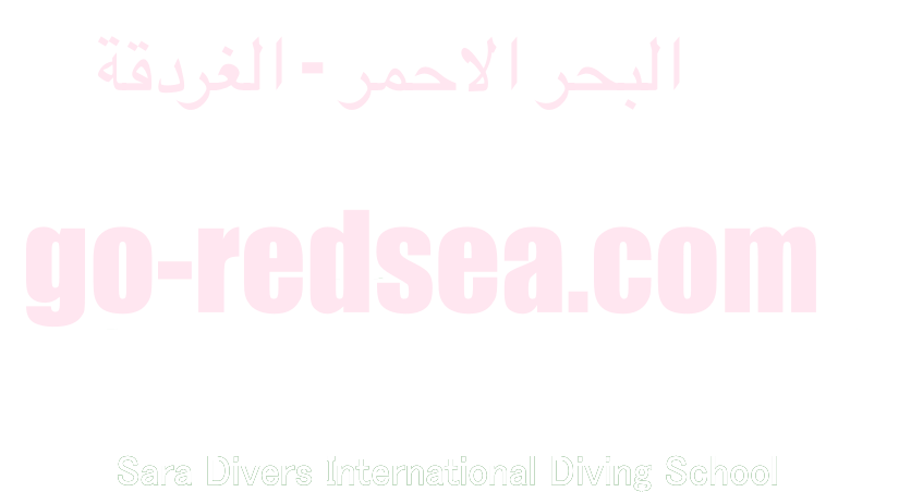 Napoleon fish main photo